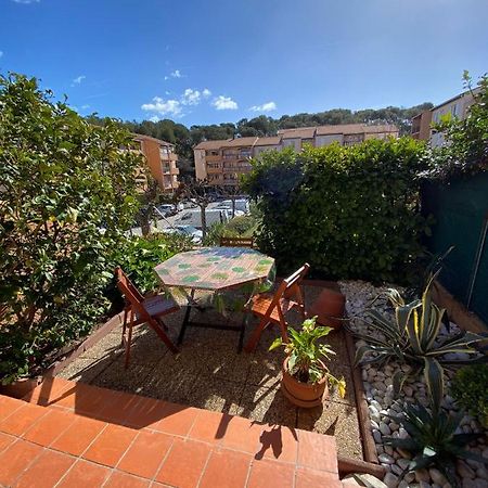 Charmant Studio Costebelle Proche Gare, Terrasse Et Parking Gratuit Apartment Hyeres Exterior photo